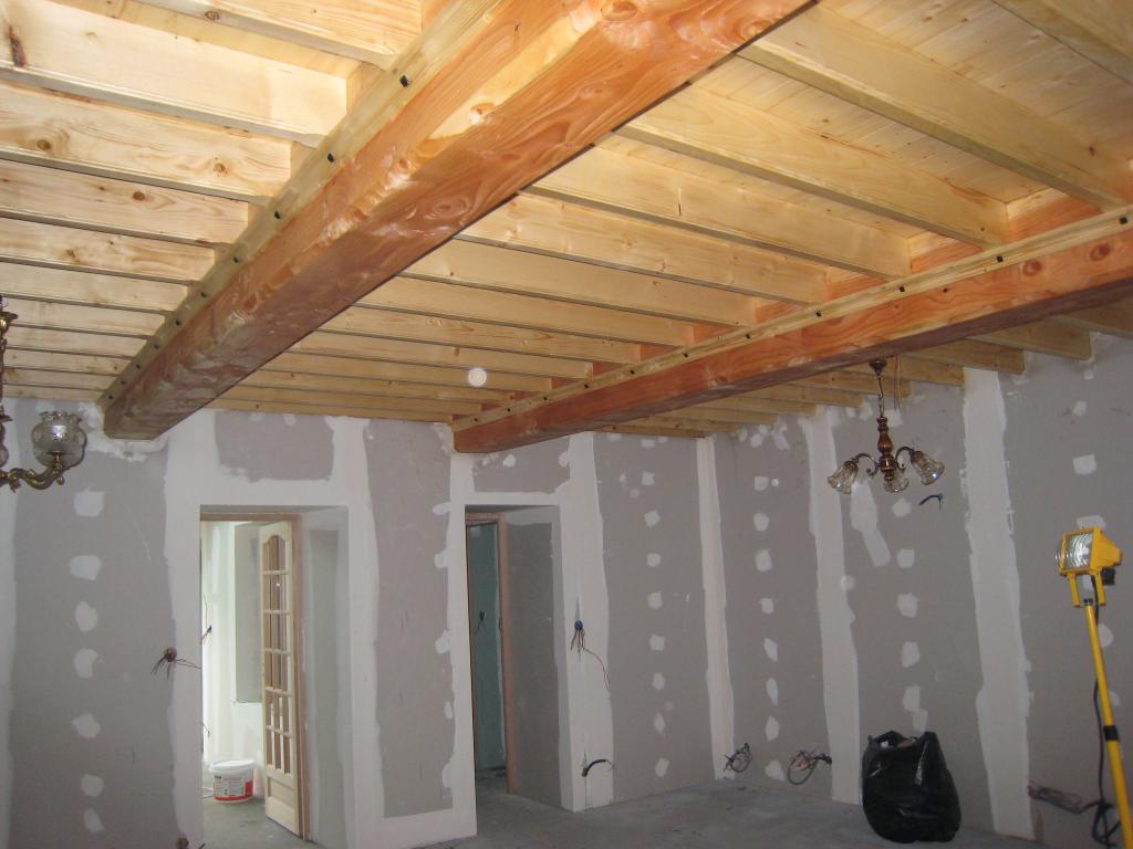 Plafond - Lebas Bruno